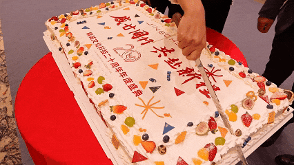 91桃色APP下载免费版2025新春年会暨20周年庆典圆满落幕